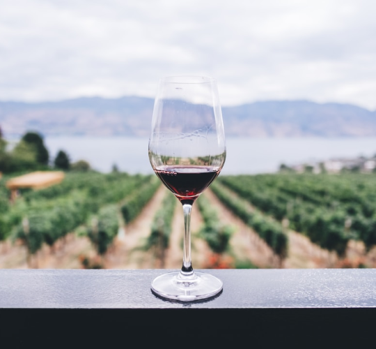 bocal-wine